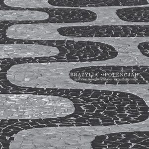 BRAZYLIA - POTENCJAŁ